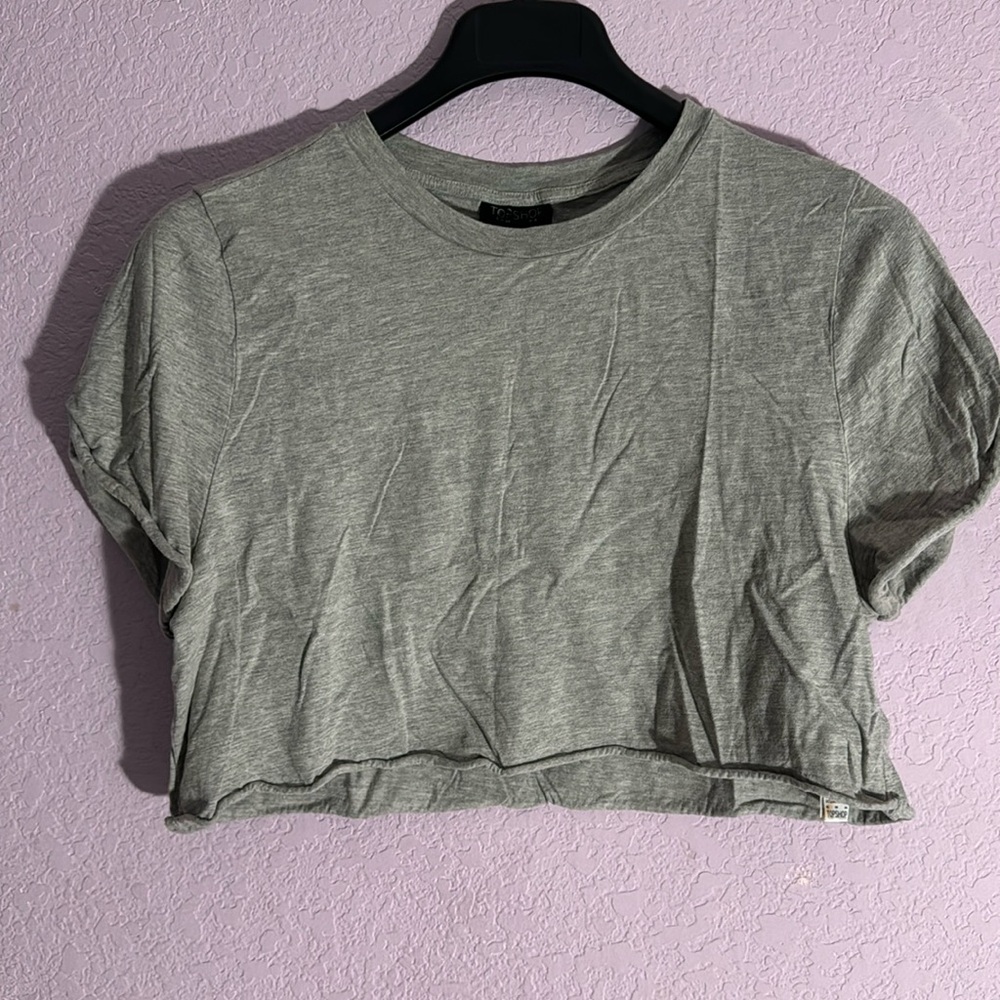 Gray Tee Shirt Crop Top
